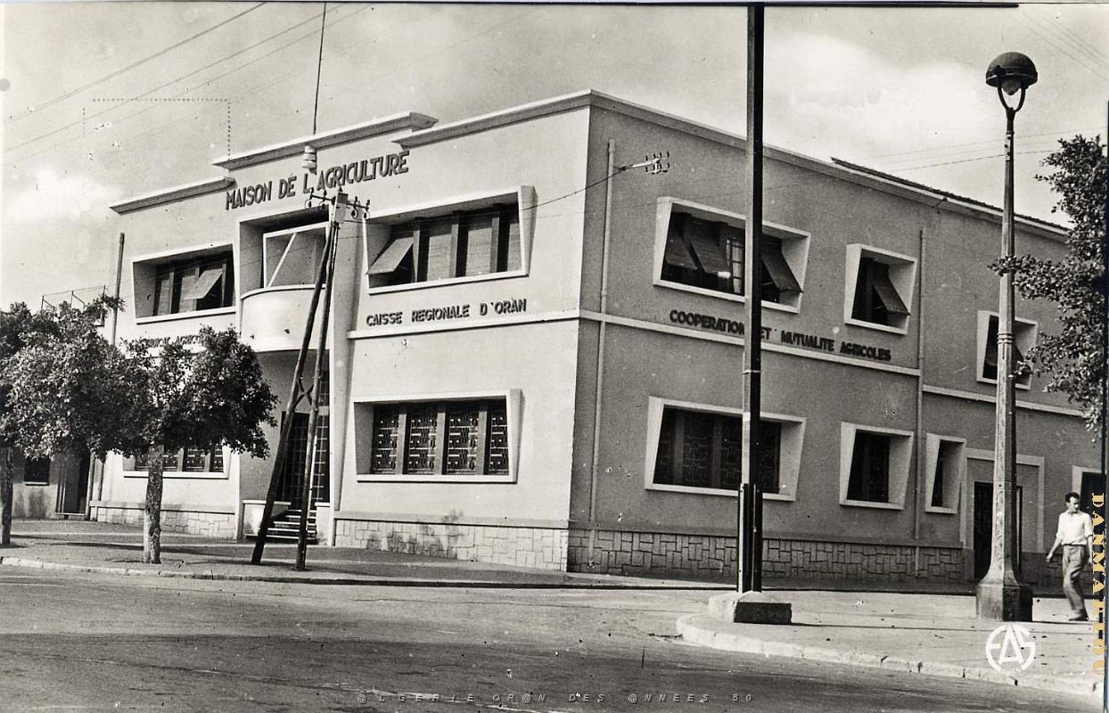 Hammam bou hadjar 521- Maison agriculture COLLECTION DES AMIS DE ND DE SANTA CRUZ.jpg